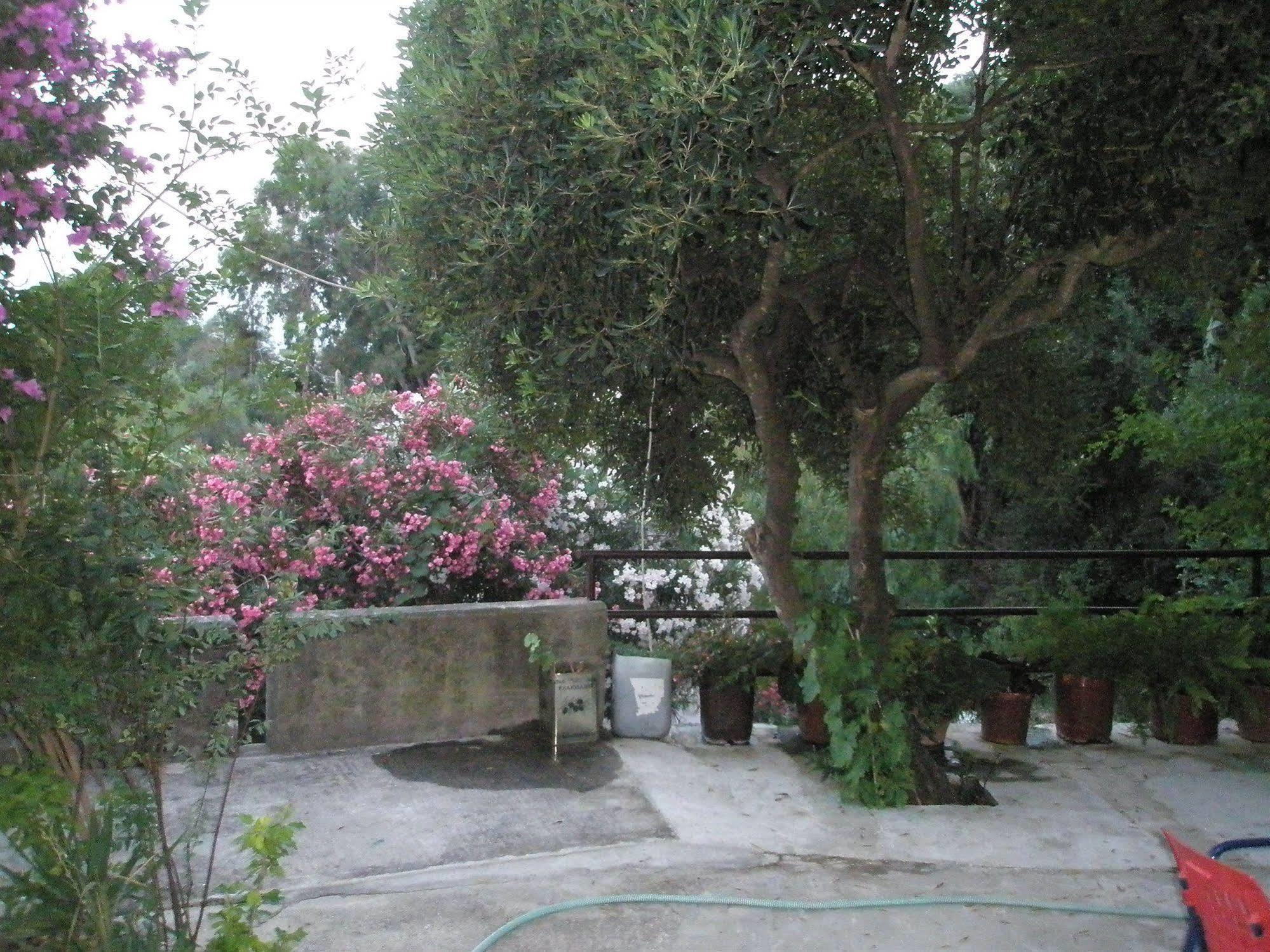 Faliraki Apartments Benitses  Bagian luar foto